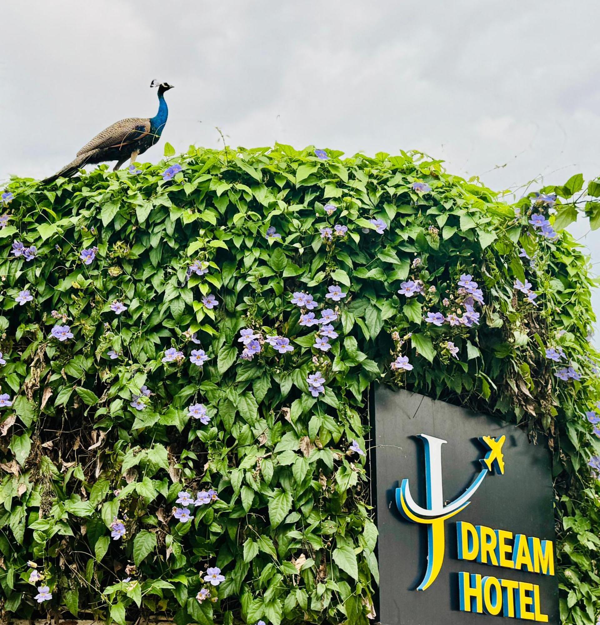 Airport J Dream Resort Dewamottawa Extérieur photo
